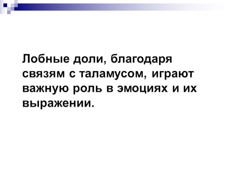 Лобные доли, благодаря связям с таламусом, играют важную роль в эмоциях и их выражении.